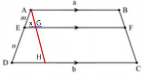 توضیحات تصویر